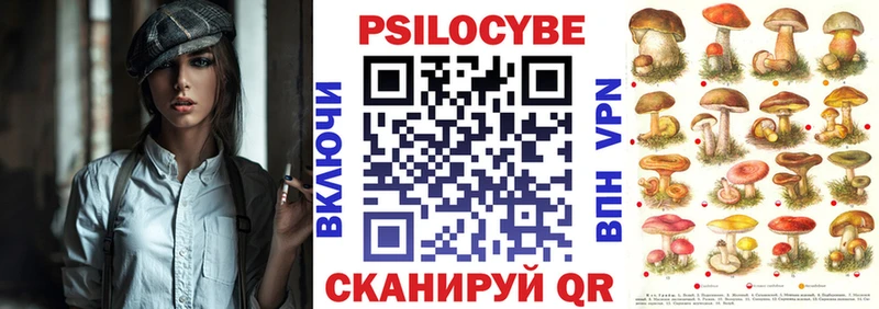 сколько стоит  Солигалич  Псилоцибиновые грибы Cubensis 